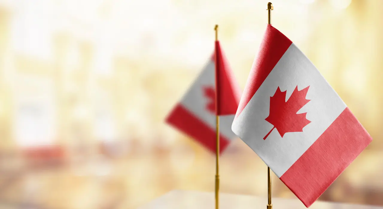 兩面小型加拿大國旗放在桌面支架上，背景泛著柔和的金色。